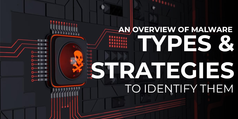 An Overview Of Malware Types & Strategies To Identify Them